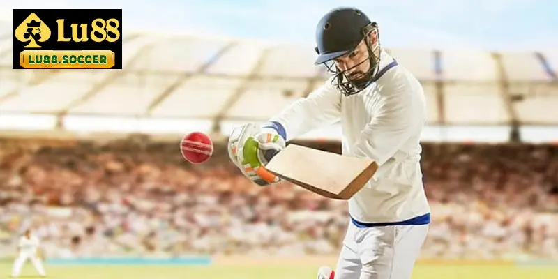 Tìm hiểu kinh nghiệm cá cược Cricket hay nhất hiện nay