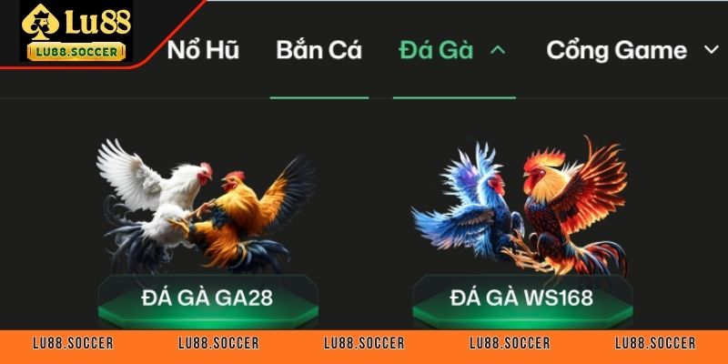 Đá gà cửa đảo