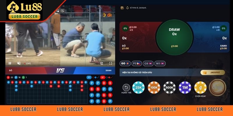 Tìm hiểu về hình thức đá gà cửa đảo tại LU88