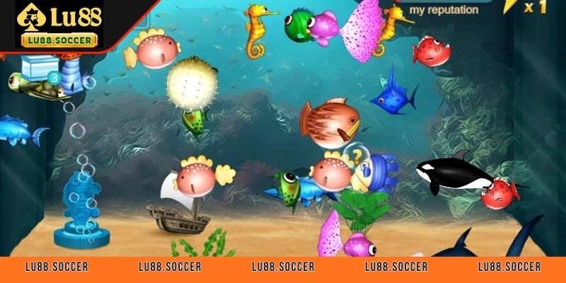 Tìm hiểu khái quát về bắn cá đại dương