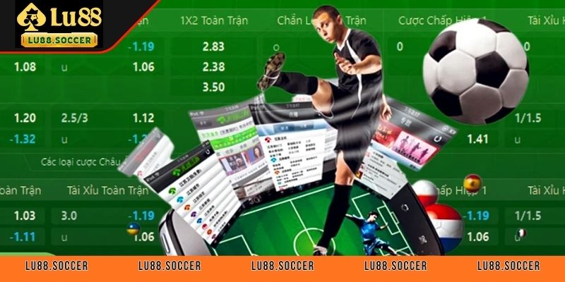 Tìm hiểu thông tin chi tiết về kèo tài 2.5-3